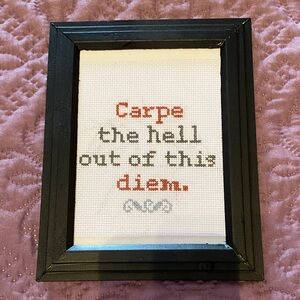 Framed Cross-Stitch "Carpe the hell out of this diem."